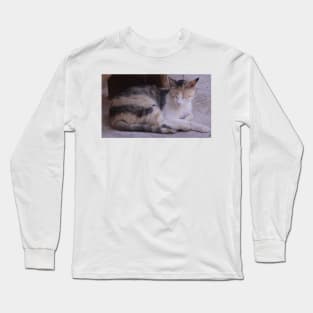 Abbey Cat Long Sleeve T-Shirt